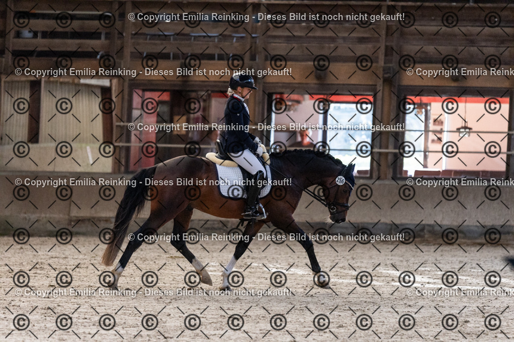 CL5A0222 | Emilia Reinking Fotografie - Realisiert mit Pictrs.com