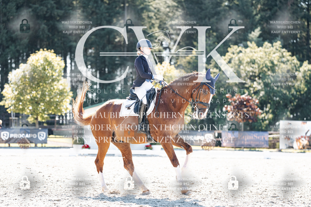 CK905508 | Turnierfotografie Pferdefotografie Trier Rheinland-Pfalz Pferdesport Reitsport Tierfotografie Sportfotografie Pferdevideo Pferdevideografie Equestrianvideography equestrianphotography  - Realisiert mit Pictrs.com