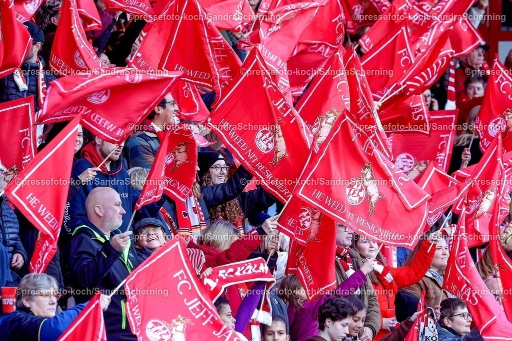 xSSCx09112501004 | 09.11.2025, xsscx, Frauen Fussball, 1. FC Koeln - TSG 1899 Hoffenheim, 1. Fuﬂball Bundesliga, 10. Spieltag, Franz-Kremer-Stadion, Saison 2025 2026: Fahns schwenken Fahnen vor dem Spiel DFB regulations prohibit any use of photographs as image sequences and or quasi-video. Nordrhein-Westfalen Deutschland