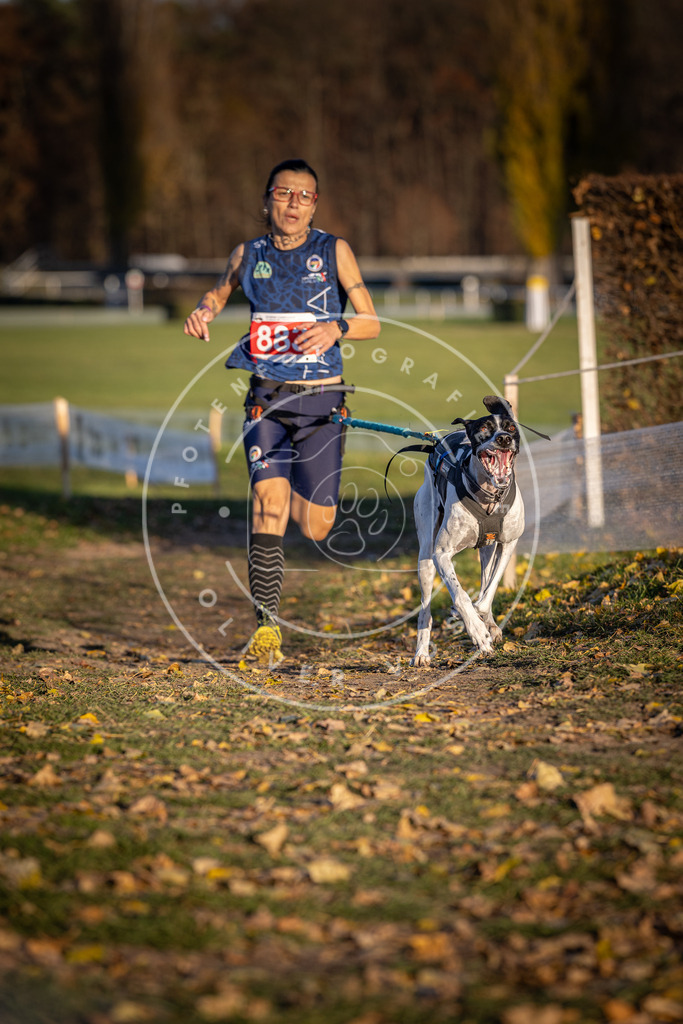 CaniXpix_DV3A4386 | Hundefotografie, Tierfotograf, Pfotenfotografie, Fotoshooting Hund, Hunde Portrait, Hundesport, Hundeportraits, Heideshooting, Hunde, Sportfotograf, Hundefotograf, Turnierhundsport, THS,  - Realisiert mit Pictrs.com