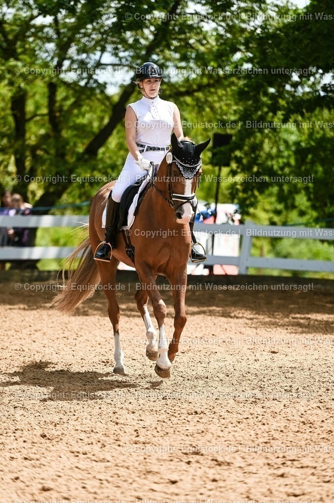 20230716_03_Dressurprfg. Kl.L - Tr._0515 | equistock