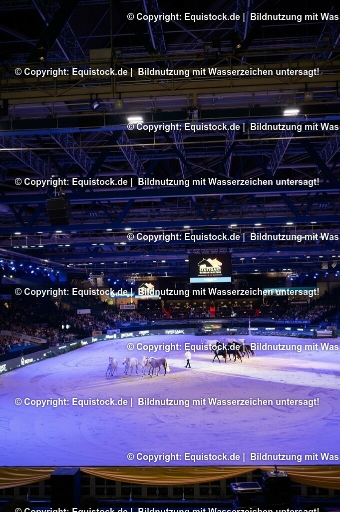 20231115_Show-Jean-Francois-Pignon_0125_TOMsPiC | Foto: Thomas Hartig