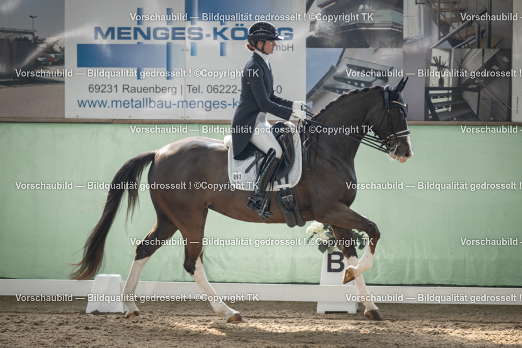 _D5A4950 | Emotionale Pferde- & People-Fotografie rund um Heidelberg, Leimen & Umgebung. Natürliche Fotos von Pferd, Mensch & Familie. Jetzt Termin sichern!