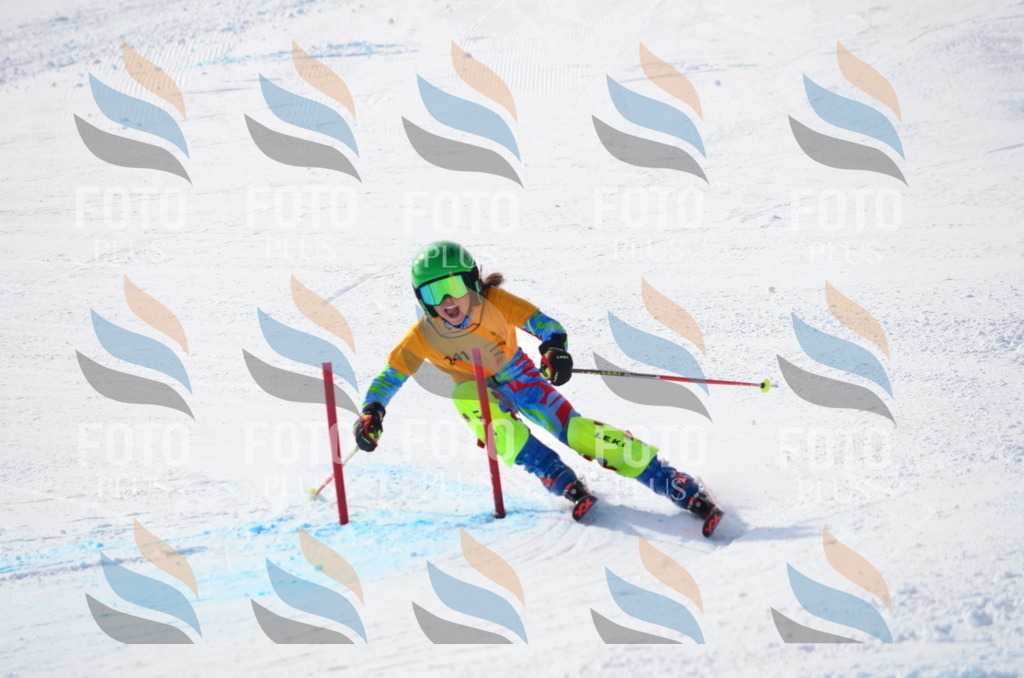 C8387 | holidayphoto