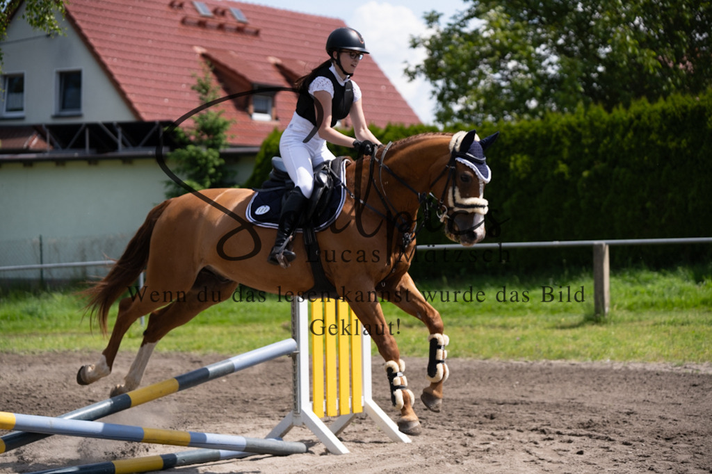 A7V03051 | Pferdefotograf