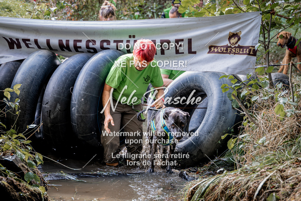nelerasche_Hunsrück2026_Sa1400-1500_53 | nelerasche