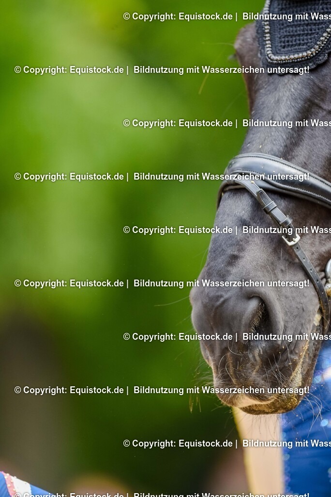 20250608_CVI-Masterclass_1036 | Foto: Thomas Hartig