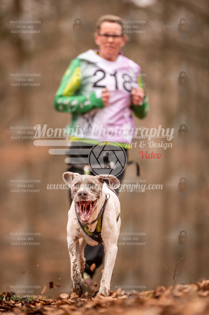 AKM_ST_2023_Son_Run-39 | mompixphotography