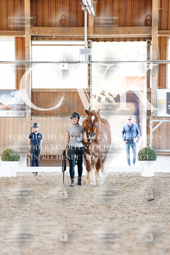 CK906396 | Turnierfotografie Pferdefotografie Trier Rheinland-Pfalz Pferdesport Reitsport Tierfotografie Sportfotografie Pferdevideo Pferdevideografie Equestrianvideography equestrianphotography  - Realisiert mit Pictrs.com
