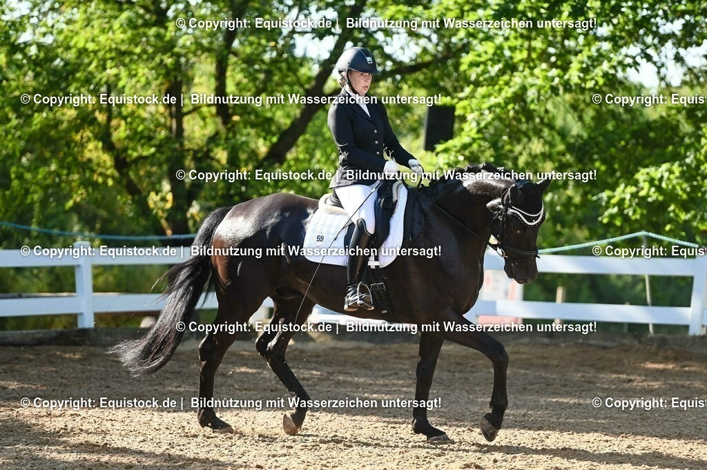 20230715_06_Dressurpferdeprfg. Kl.A_0084 | equistock