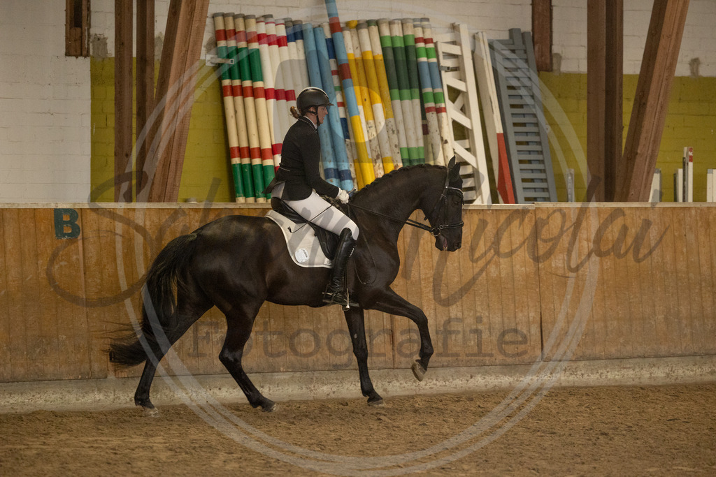 994A9303 | sabrinanicolaifotografie - Realisiert mit Pictrs.com