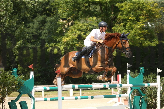 Waiblingen_2022_Springen_Kl.S_Markus Kölz_Lagano 13 (2) | Alle Fotos der Reiterjournal Fotografin Doris Matthaes im Reiterjournal Online-Fotoshop. - Realisiert mit Pictrs.com