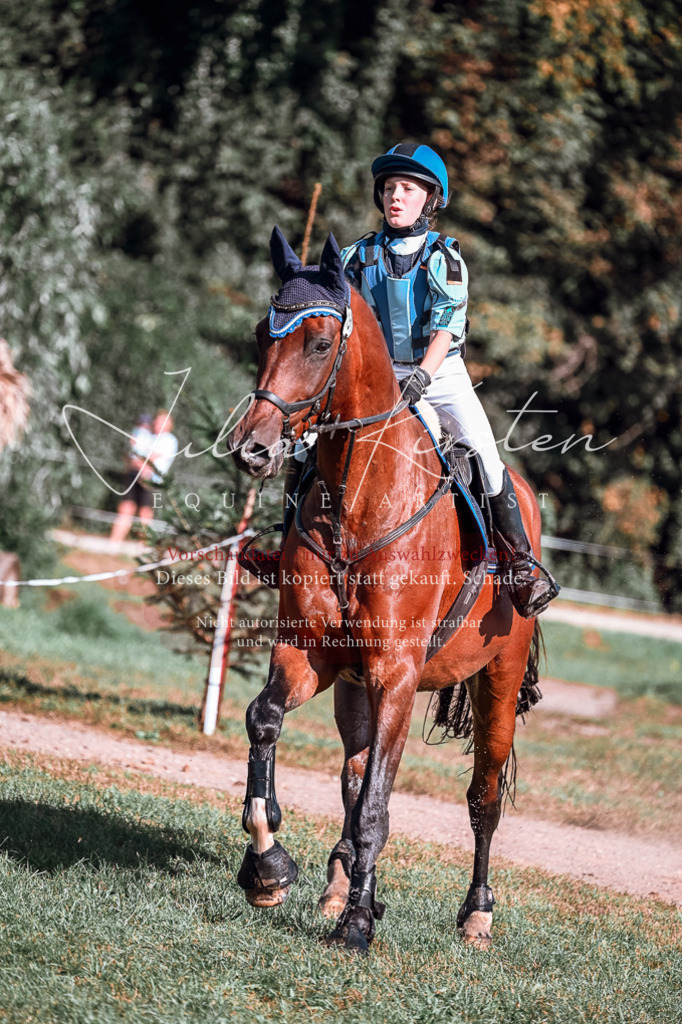 DSC_0830 | Pferde- und Turnierfotografie in Westsachsen. Pferdeportraits, Auftragszeichnungen und intuitive Kunst.