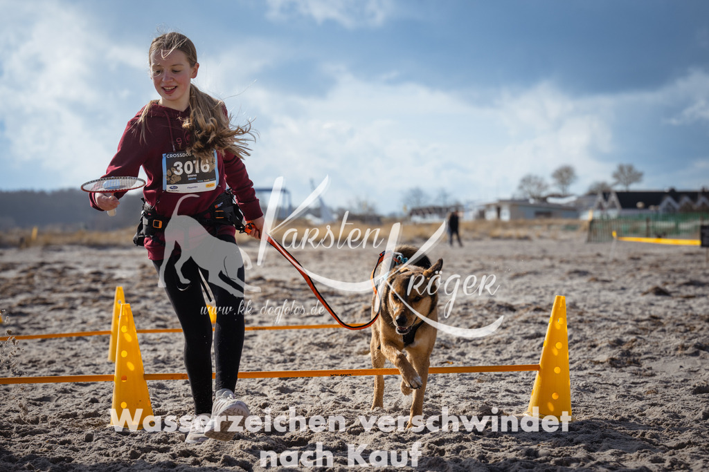 1259_ZZ99803 | kk-dogfotos