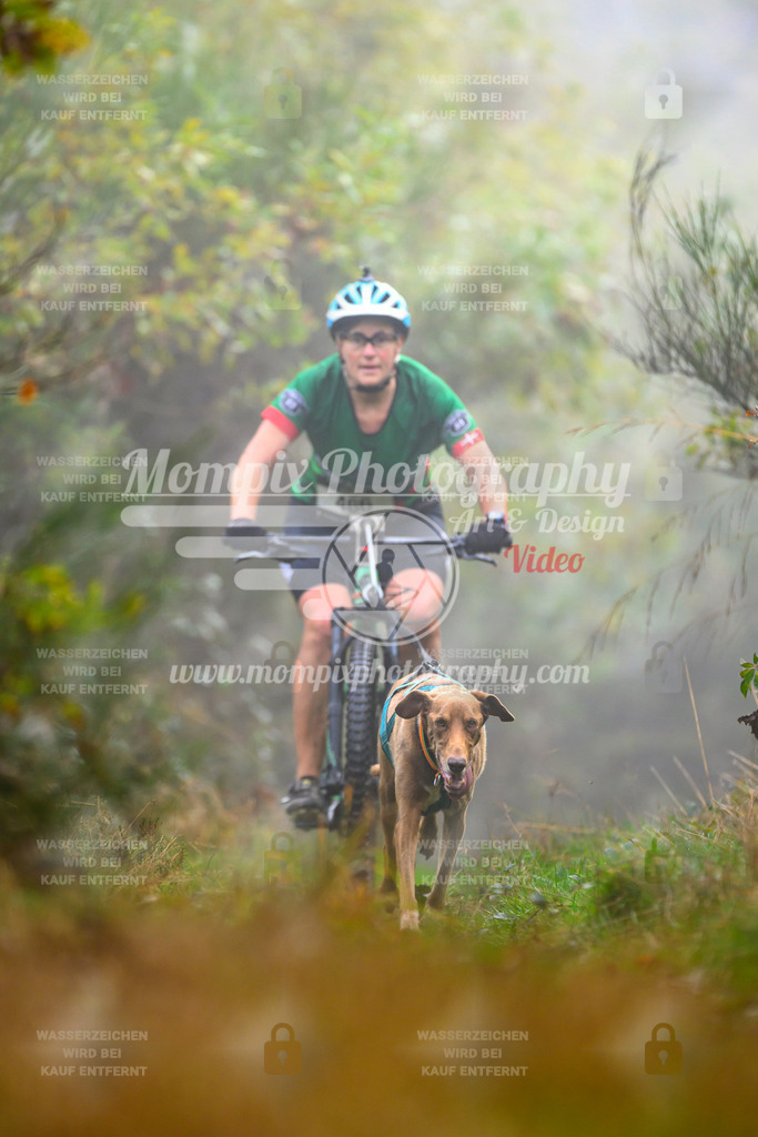 MompixPhotography_20TSB_E4_Bike-149 | PayLife