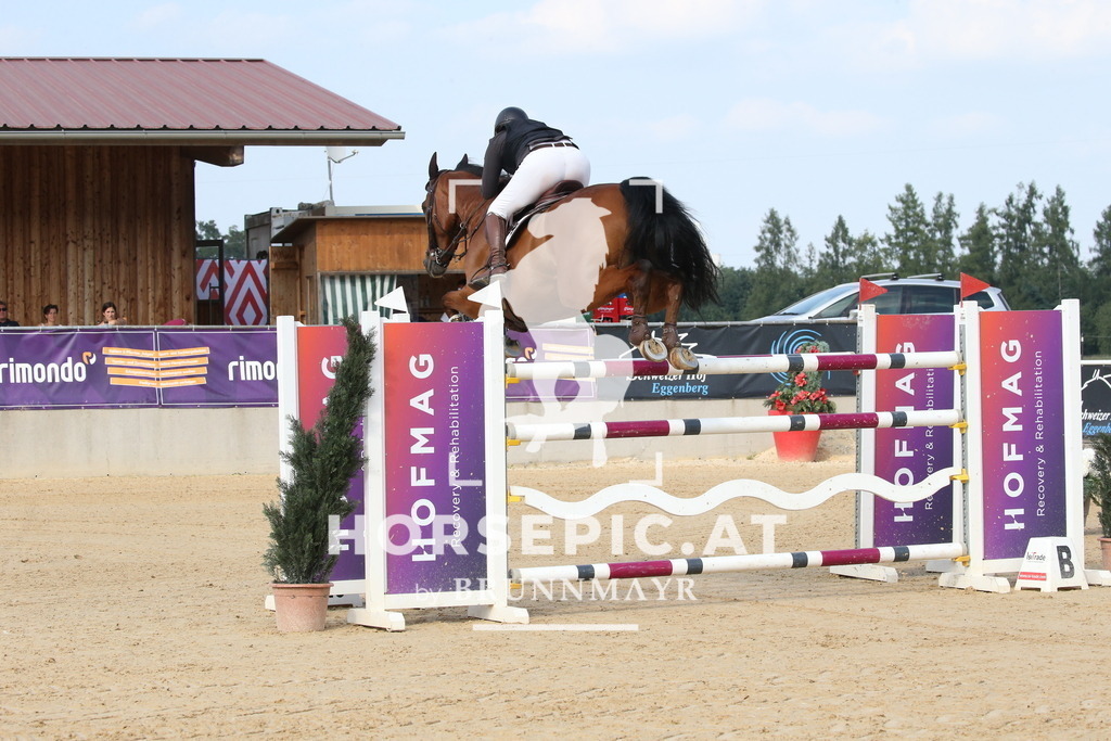 DL2Q8767 | Willkommen bei Brunnmayr - Design & Fotografie – Ihrem Spezialisten für Reitturniere und Pferdeveranstaltungen in Oberösterreich, Salzburg und Bayern! Seit über 17 Jahren sind wir leidenschaftlich dabei.