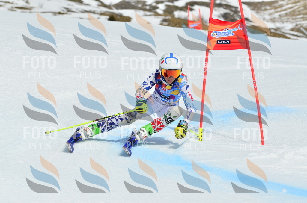 _ELE2144 | holidayphoto