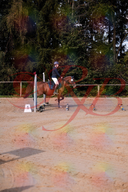 2026_10_03_Siefer-Hof_145626_Z81_37335810 | Professionelle Reitsport-, Turnier- und Eventfotografie von Robert Broda. Galerien mit ausgewählten und bearbeiteten Bildern direkt online ansehen und bestellen.