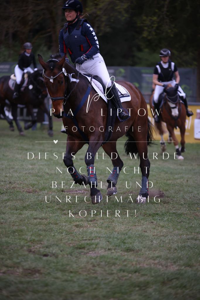 IMGT9628 | pl-fotografie