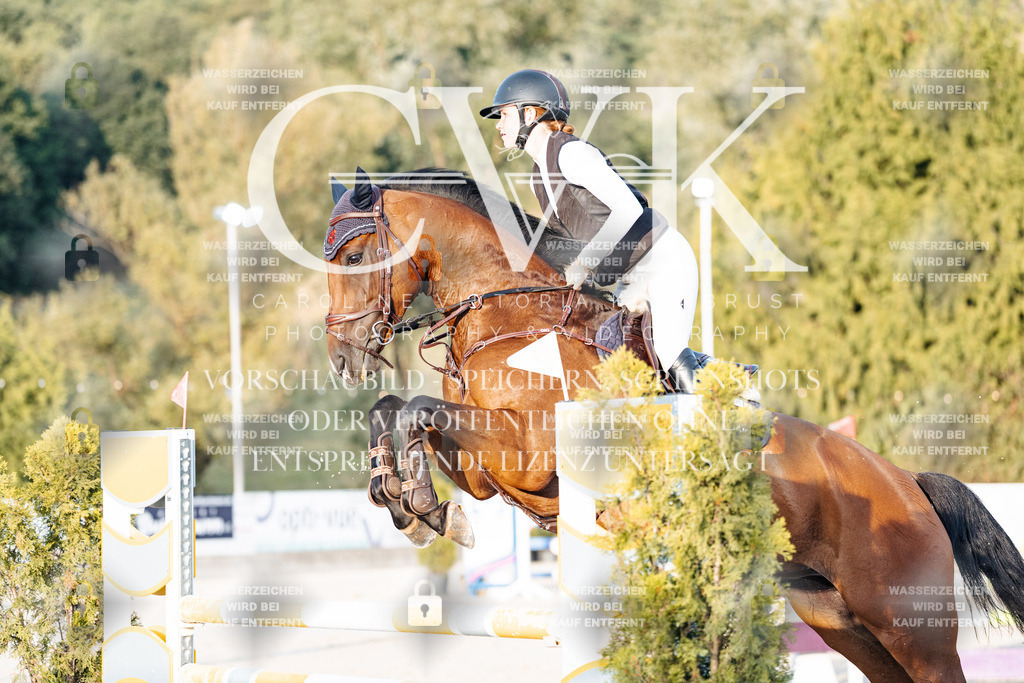 CK901024 | Turnierfotografie Pferdefotografie Trier Rheinland-Pfalz Pferdesport Reitsport Tierfotografie Sportfotografie Pferdevideo Pferdevideografie Equestrianvideography equestrianphotography  - Realisiert mit Pictrs.com
