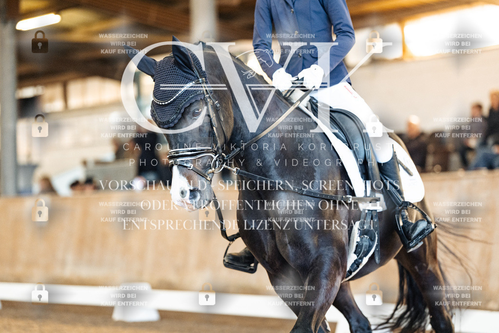 CK908175 | Turnierfotografie Pferdefotografie Trier Rheinland-Pfalz Pferdesport Reitsport Tierfotografie Sportfotografie Pferdevideo Pferdevideografie Equestrianvideography equestrianphotography  - Realized with Pictrs.com