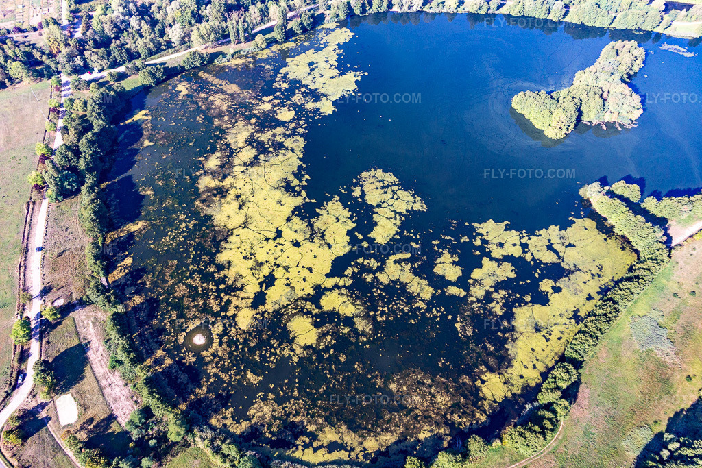 Aerial view: Shoreline areas at the lake area of Ètang du Breuil in a wooded area in Flavigny-sur-Moselle in the state Meurthe et Moselle, France. – Photo: IMG_118260.jpg taken on 09/15/2019 by Werner Riehm/FLY-FOTO.com – Resolution of the original: 5472 x 3648 px