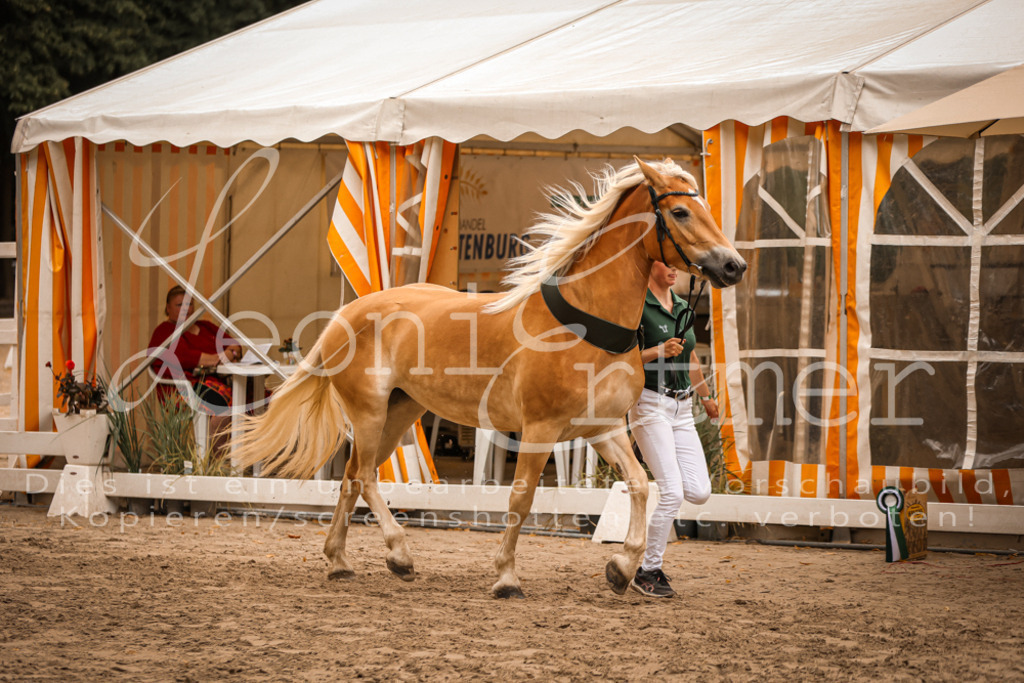 06.So00160 | Leoni Ertmer Photography - Realisiert mit Pictrs.com