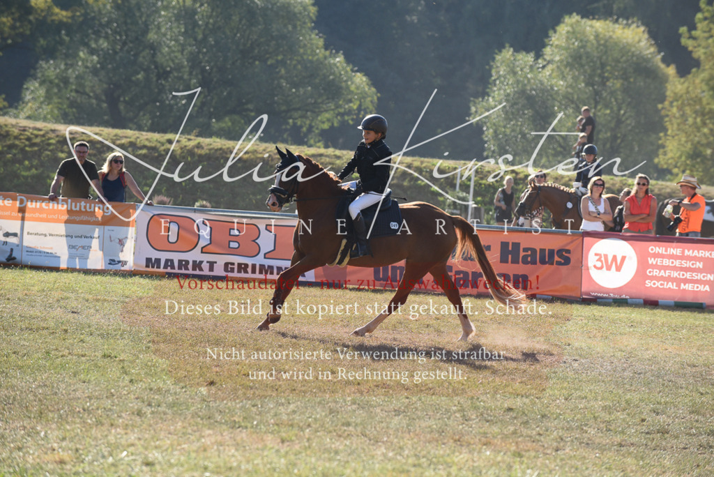 DSC_5694 | Pferde- und Turnierfotografie in Westsachsen. Pferdeportraits, Auftragszeichnungen und intuitive Kunst.