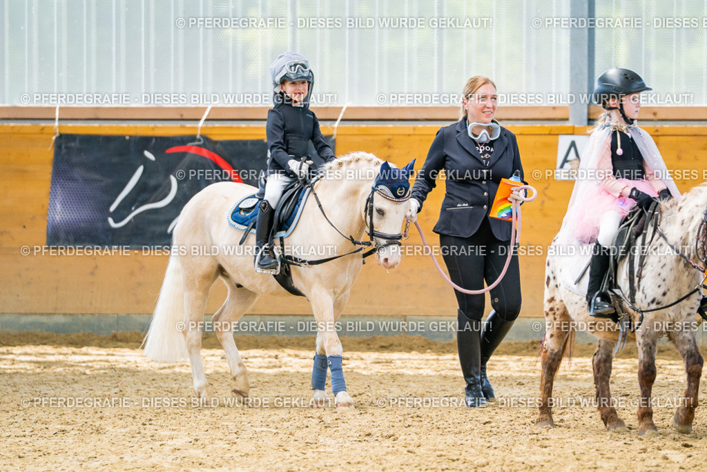 DSC00881 | Pferdegrafie