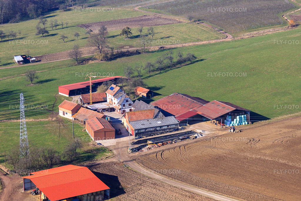 Aerial view: Aussiedlerhof on Rue du Vignoble in Riedseltz in the state Bas-Rhin, France. – Photo: IMG_37380.jpg taken on 02/07/2011 by Werner Riehm/FLY-FOTO.com – Resolution of the original: 4752 x 3168 px