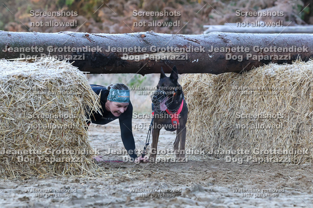 Dog Paparazzi - Strongdog 10-25-351 | Dog Paparazzi Jeanette Grottendiek Fotografie & Videografie - Realisiert mit Pictrs.com