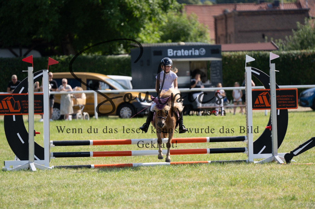 A7V00515 | Turnier/Reitfotograf