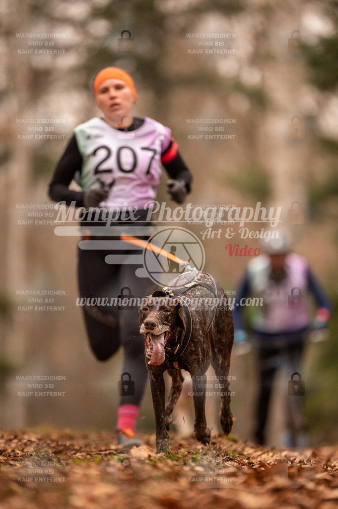 AKM_ST_2023_SAM_Run-10 | PayLife