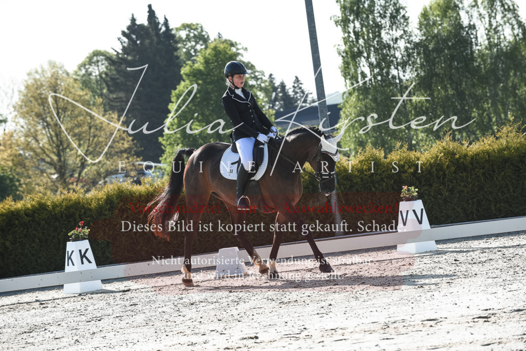 20230518_JK-Röhrsdorf-09-0605 | Pferde- und Turnierfotografie in Westsachsen. Pferdeportraits, Auftragszeichnungen und intuitive Kunst.