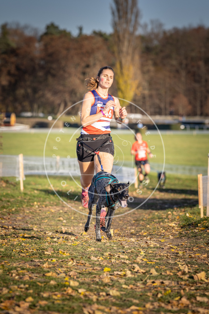 CaniXpix_DV3A2321 | Hundefotografie, Tierfotograf, Pfotenfotografie, Fotoshooting Hund, Hunde Portrait, Hundesport, Hundeportraits, Heideshooting, Hunde, Sportfotograf, Hundefotograf, Turnierhundsport, THS,  - Realisiert mit Pictrs.com