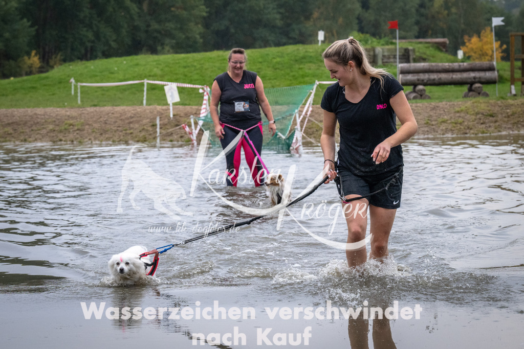0838_ZZ92279 | kk-dogfotos