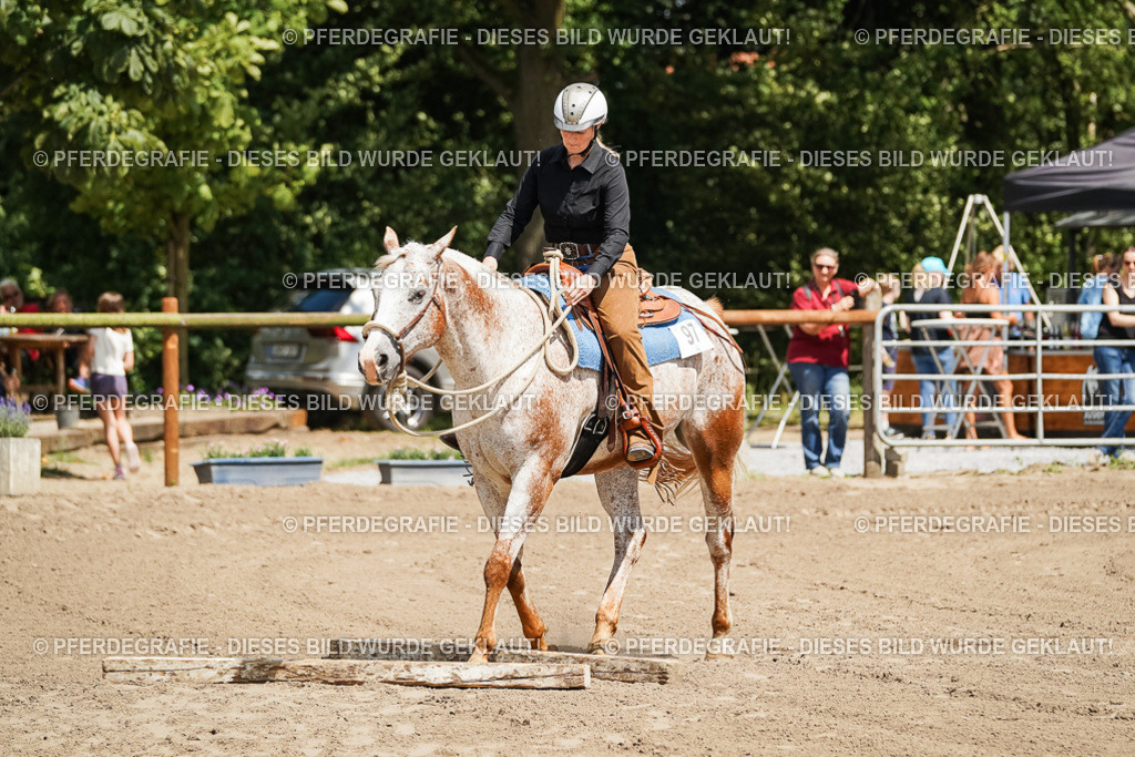 DSC06354 | Pferdegrafie