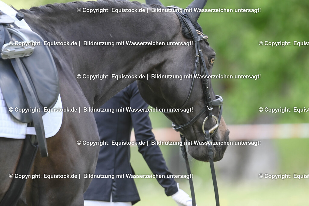 20250516_Impressionen_0078 | Foto: Thomas Hartig