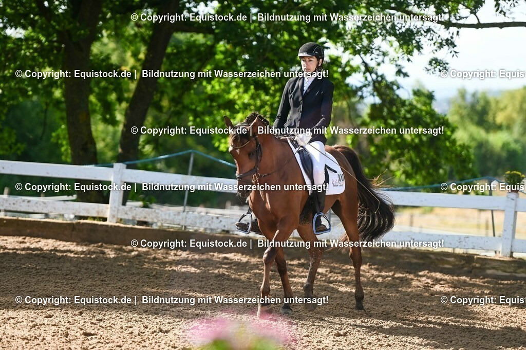 20230716_04_Dressurreiterprüfung Kl.A_0129 | equistock