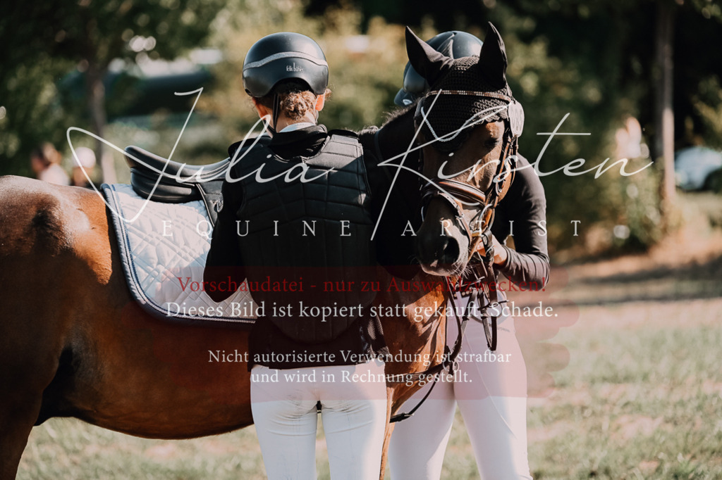 DSC_4964 | Pferde- und Turnierfotografie in Westsachsen. Pferdeportraits, Auftragszeichnungen und intuitive Kunst.