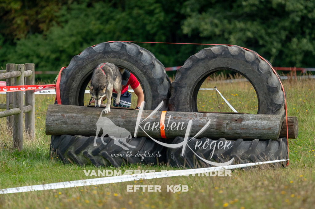 1106STR_1824 | kk-dogfotos