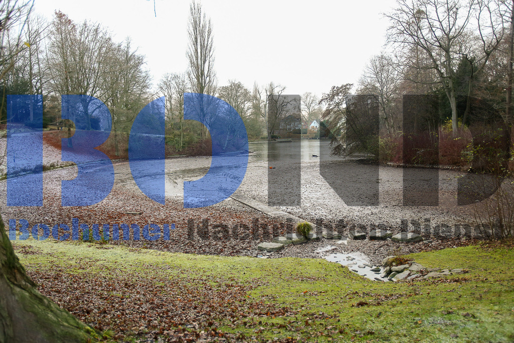  10.12.2020 - 
 | Sebastian Sendlak / Bochumer Nachrichtendienst (BOND) - Bochum Allgemein - Stadtparkteich leer - Realisiert mit Pictrs.com