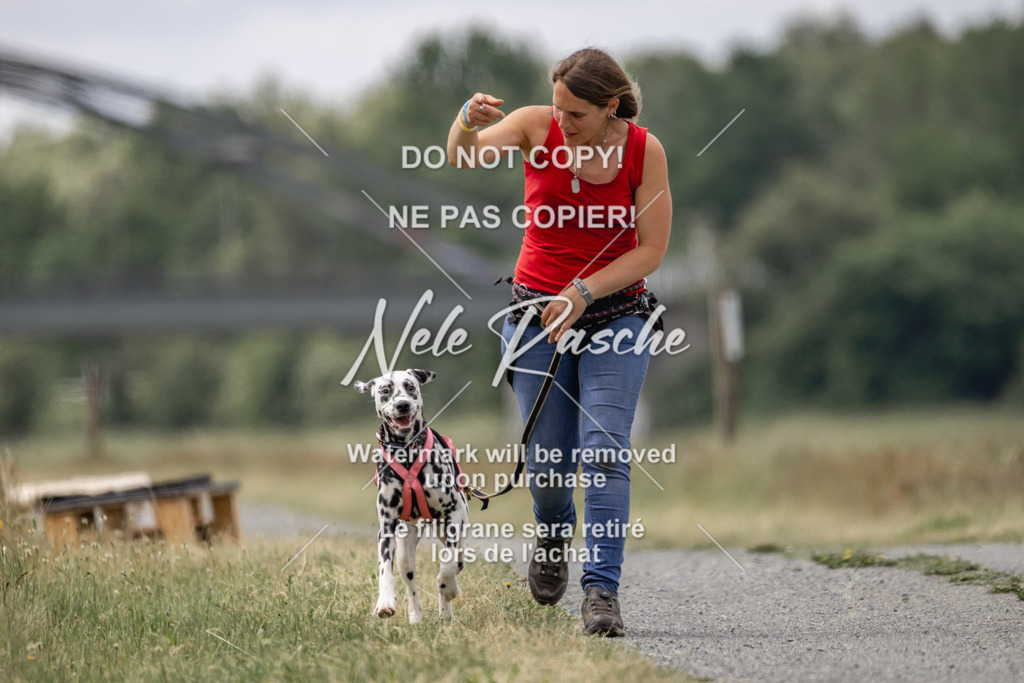 nelerasche_BuHu2026_SaCC1100-1200_73 | nelerasche