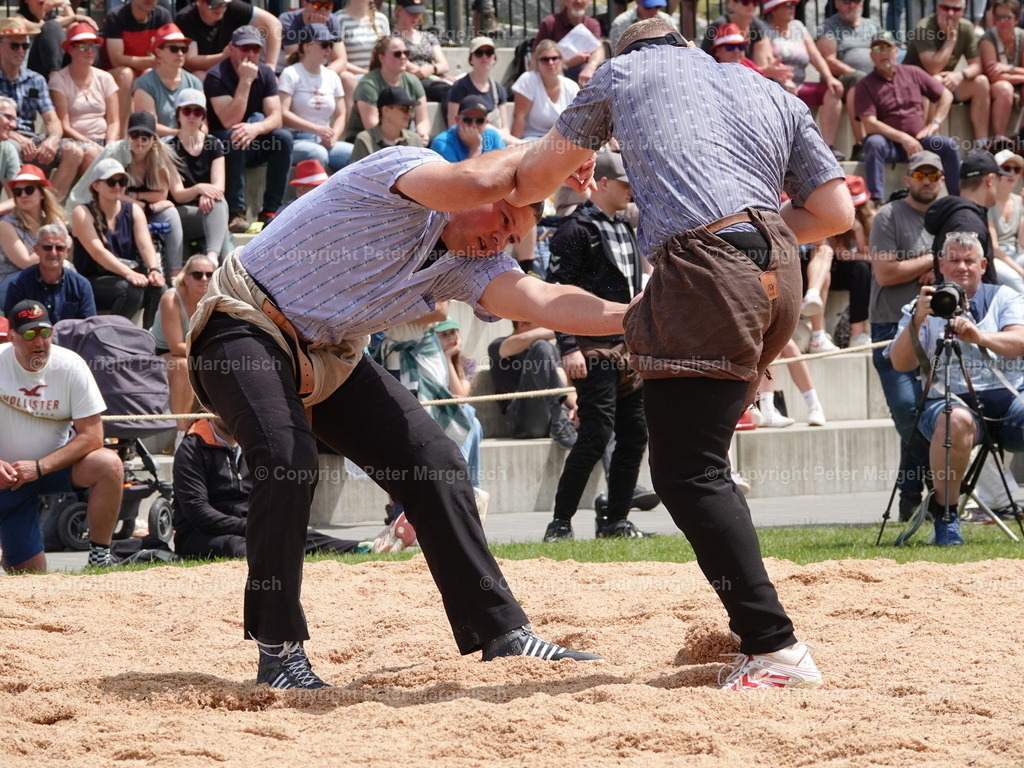 DSC07440 | Schwingen - Realisiert mit Pictrs.com