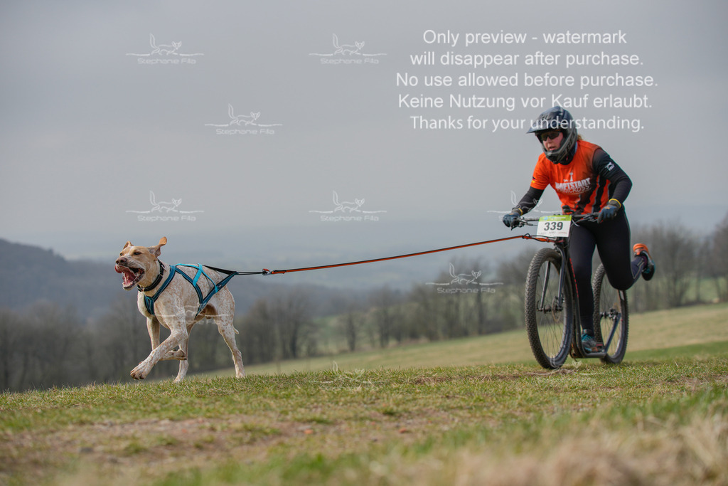 ScooterSA-203 | stephaniefillaphotographie - Realisiert mit Pictrs.com