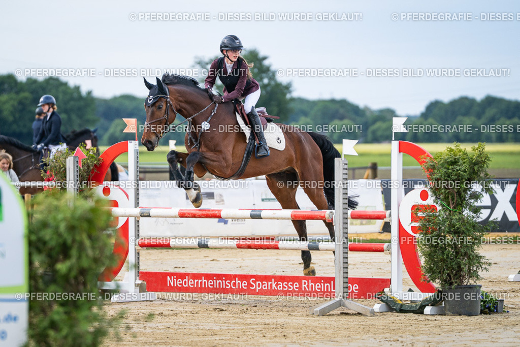 DSC03494 | Pferdegrafie