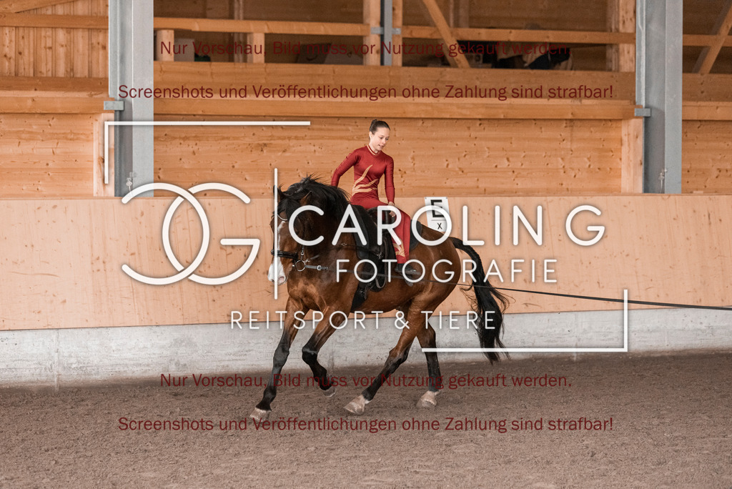DSC_2035 | Turnierfotografin Carolin Gieschke,Reitsport Turnierfotografie Carolin G Fotografie | Turnierfotos aus Kirchheim/Teck, Esslingen, Stuttgart und dem Bodenseekreis