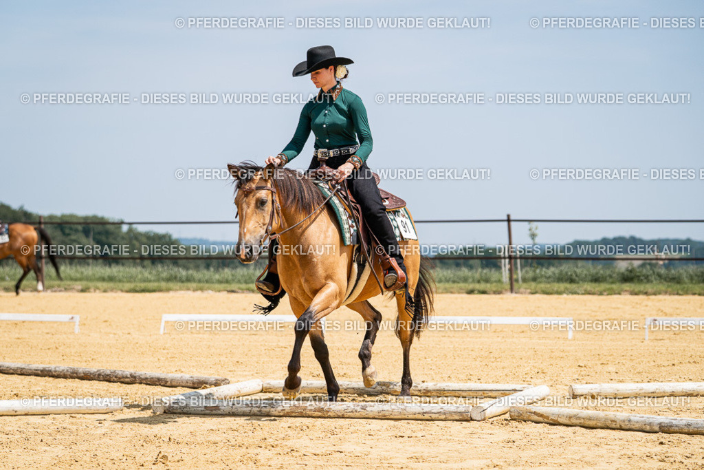 DSC01247 | Pferdegrafie