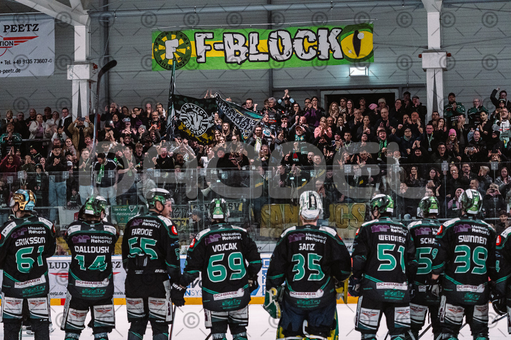 Alligators_vs_Selb_27_02_2026-48 | Höchstadt Alligators Fotogalerie: Eishockey-Action aus Franken. Professionelle Spielfotos, Portraits & Stadionbilder zum Download. Jetzt entdecken! - Realisiert mit Pictrs.com
