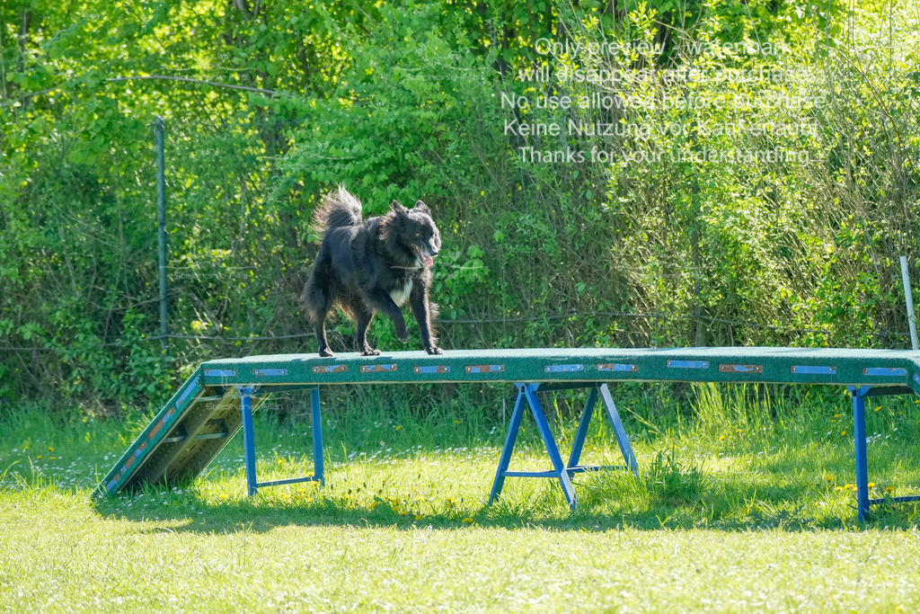 Sa_VK3_03-57 | stephaniefillaphotographie - Realisiert mit Pictrs.com